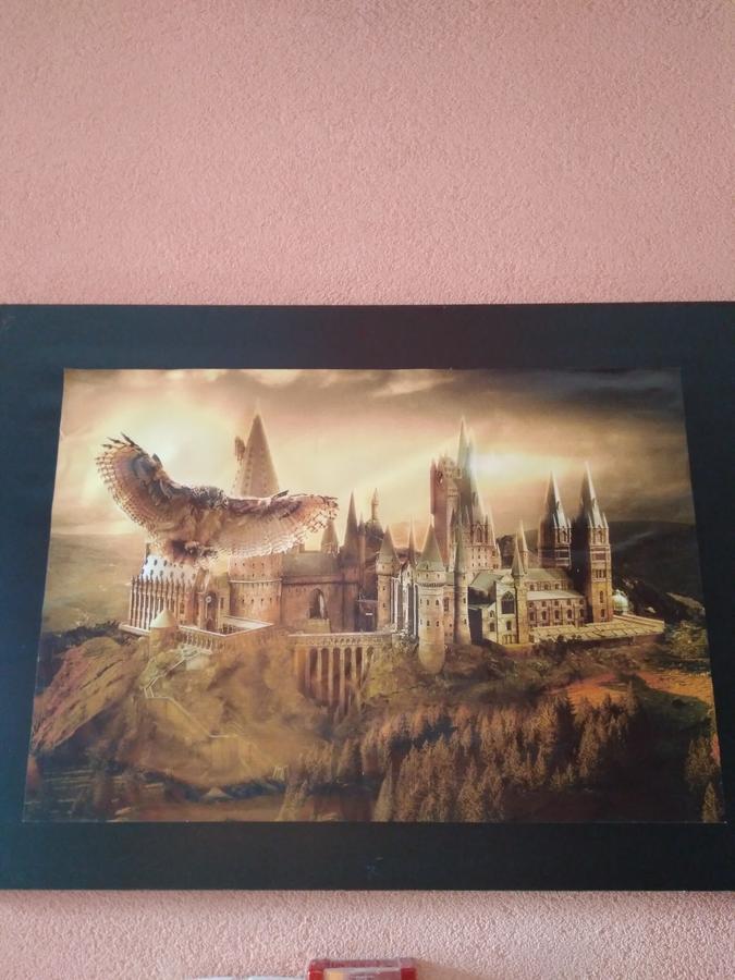 Ostello У Поттера Ternopil Esterno foto